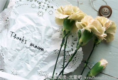 最全的《爱你就像爱生命》小说书摘大全