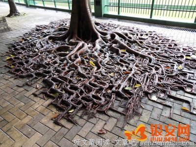 关于无孔不入的唯美句子