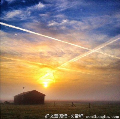 关于丑陋的句子