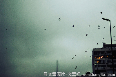 最新的《荒芜城》小说句子