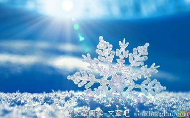 特殊的句子_关于特殊的句子