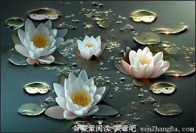 最经典的《佛祖在一号线》经典名句