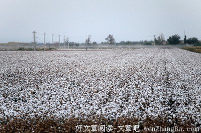 淳朴的句子