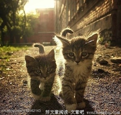 10条关于透明的经典句子