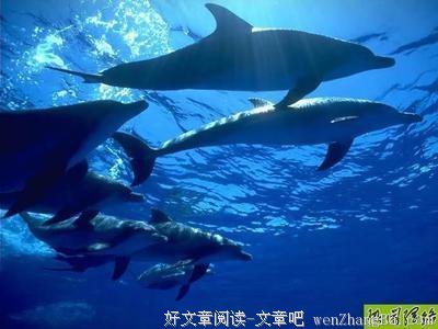 描写欢乐的经典句子