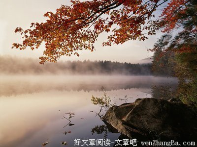 最全的《终极教师》小说书摘大全