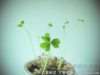 《人生不较劲》名句欣赏大全