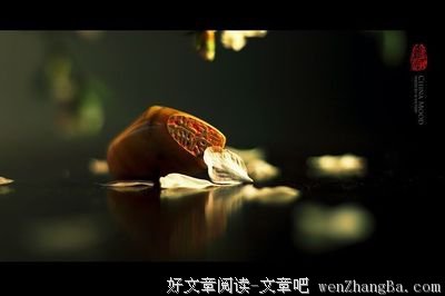 藤萍经典语录