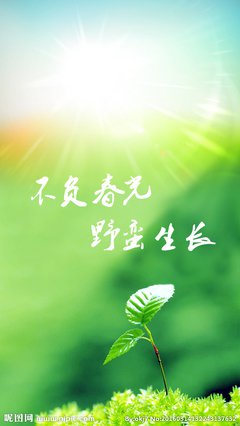 关于韶光的唯美句子