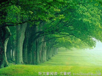 10条关于密切的经典句子