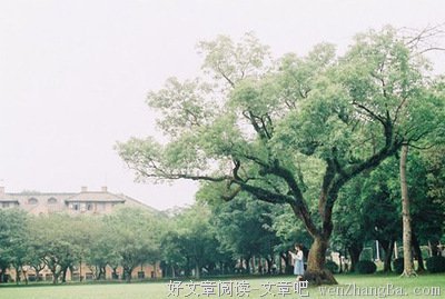 最全的《愿你的青春永不散场》经典名句大全