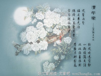 最经典的《忽然七日》名句欣赏