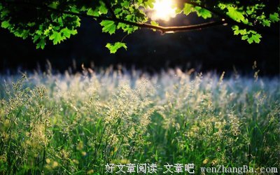 最新的《那么，爱呢？》经典语句大全