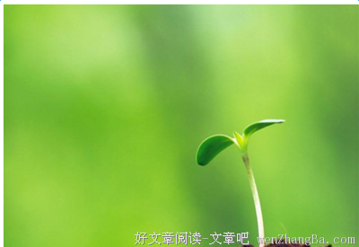 2017塞涅卡的名言名句