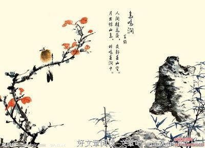 最全的《爱如禅 你如佛》语录摘抄大全