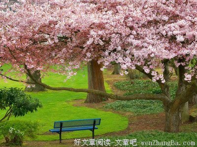 白石一文经典名句