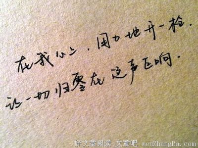《一个人的欢喜与忧伤》小说摘抄