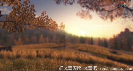 最全的《天涯明月刀》小说句子