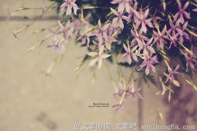 关于进退两难的唯美句子