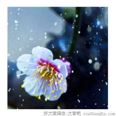 关于清白的名言