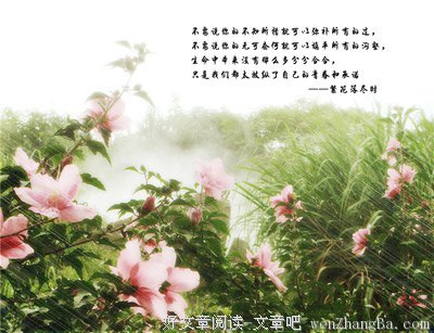 最新的《你和我的倾城时光》经典的句子