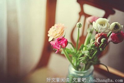 《电视剧》语录摘抄大全