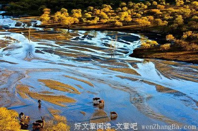 自以为是的名句_关于自以为是的名句