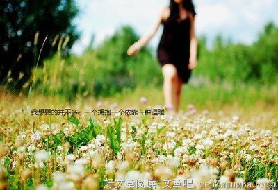 最新的《许我向你看》小说摘抄