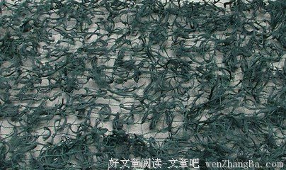 《口袋妖怪》语录摘抄