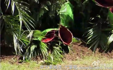描写忐忑的经典句子