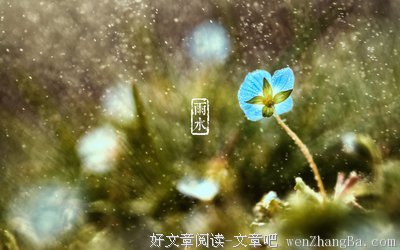 关于傲岸的唯美句子
