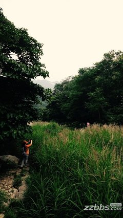 青春里那棵“歪脖树”