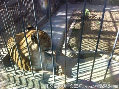 我花2000块钱买来的8段话