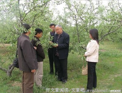 舌尖上的温暖