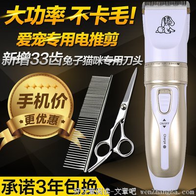 河马与乌龟