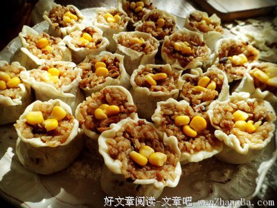 一只叫“烧卖”的猫