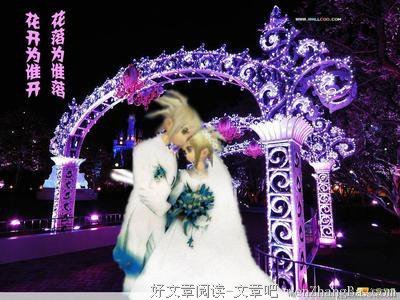 一生只爱一个人，一世只怀一种愁