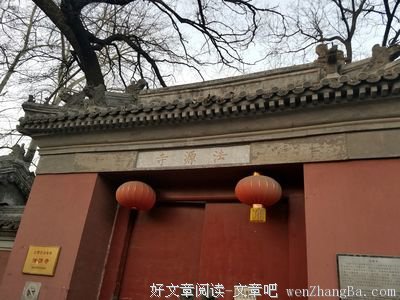 谴责弱者总是容易的