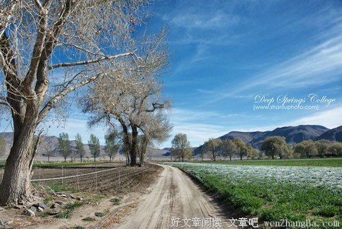 与世隔绝的美国“牛仔”学院