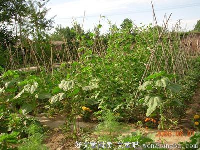 回龙观格勒艳阳下