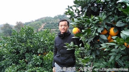 洞察力就是发现别人看不到的商机