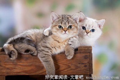 友情
