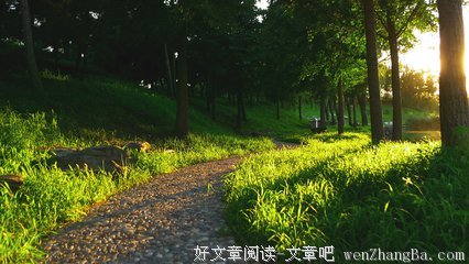 一米之外就是阳光