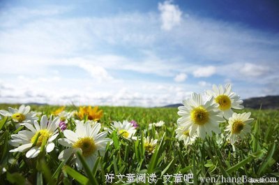 高考考不上，无非我这样