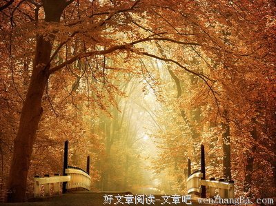 不过是把岁月过成了生活