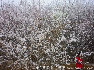  做个热爱聊天的人，生活灿烂花开
