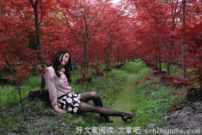 心心念念江南面