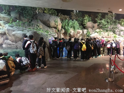 不一样的年级，不一样的感受