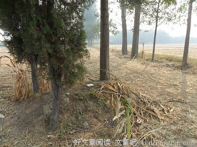 来的都是风水师