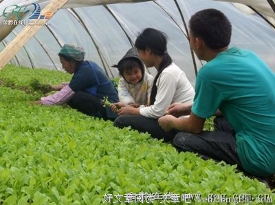 谁给打工夫妻一张床